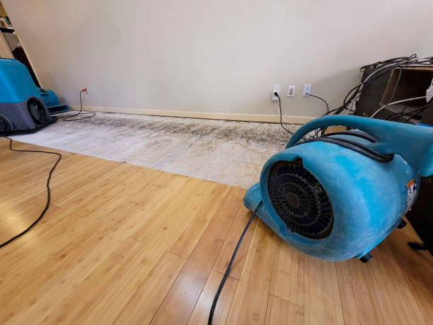 Professional Water Extraction technician working in Henderson, IA